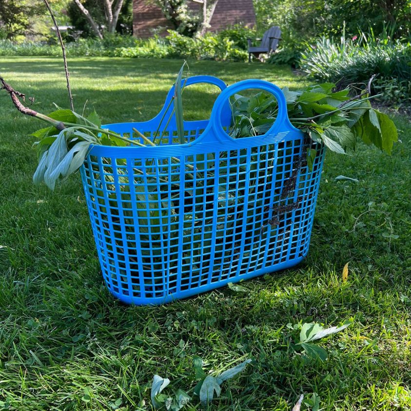 Garrett Wade Everyday Market & Garden Tote 8628N2180 Garden