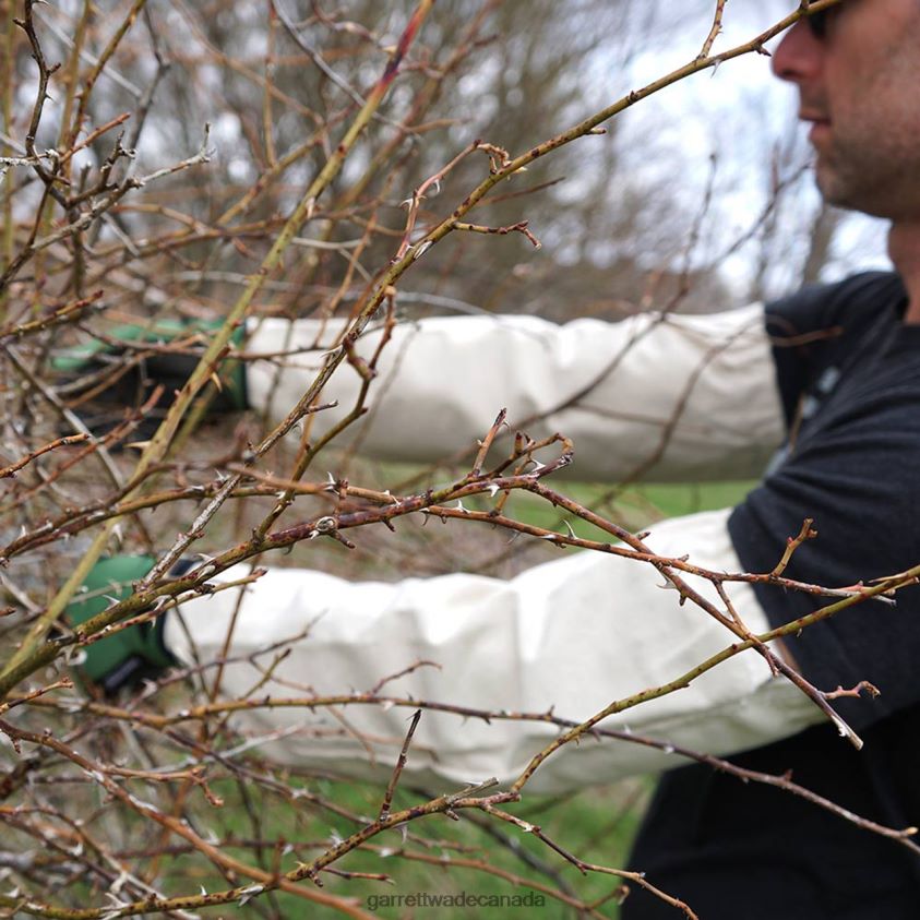 Garrett Wade Gardener's Canvas Arm Protectors 8628N2143 Garden