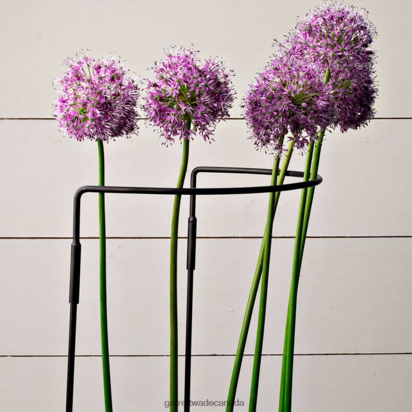 Garrett Wade Half-Circle Steel Garden Support 8628N2157 Garden