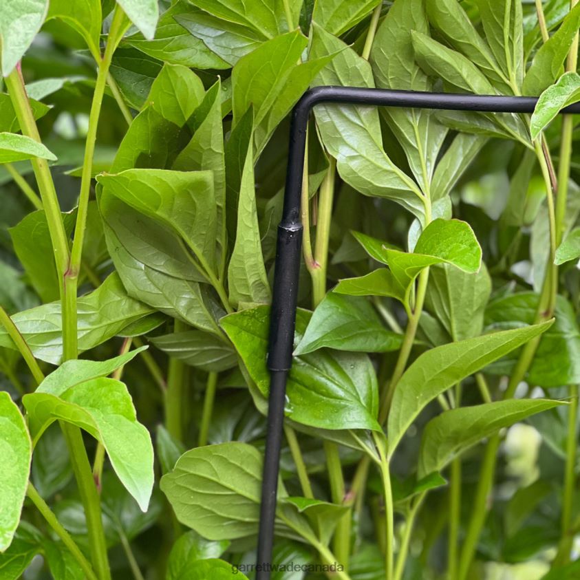 Garrett Wade Half-Circle Steel Garden Support 8628N2157 Garden