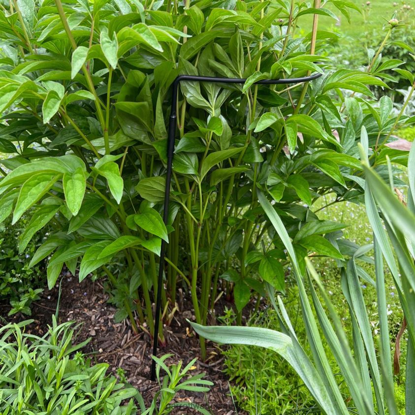 Garrett Wade Half-Circle Steel Garden Support 8628N2157 Garden