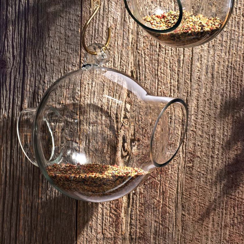 Garrett Wade Large Glass Bird Feeder 8628N2160 Garden