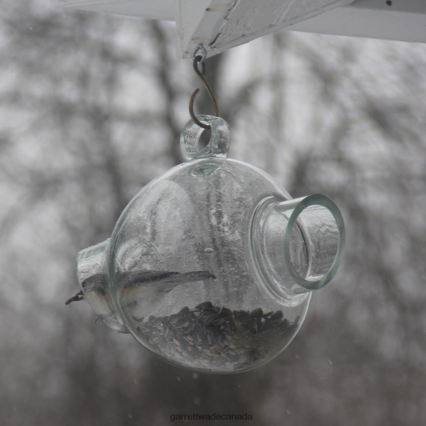 Garrett Wade Large Glass Bird Feeder 8628N2160 Garden