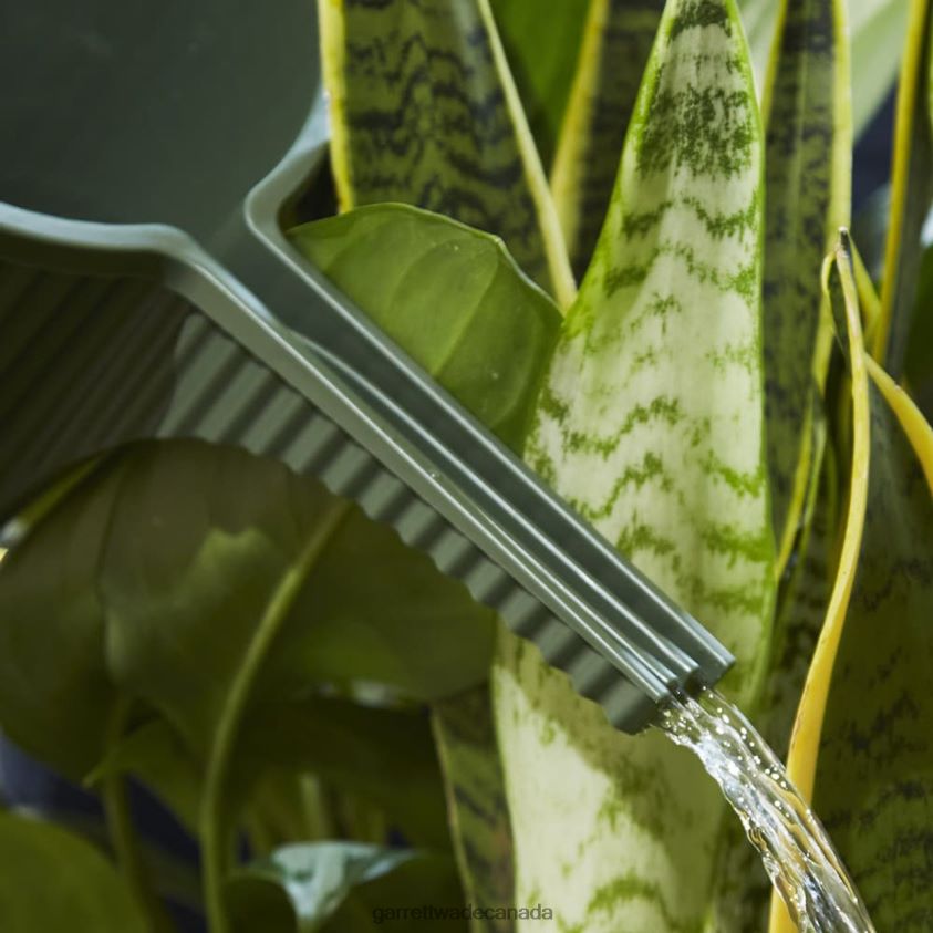 Garrett Wade Modern Japanese Indoor Watering Can - 1.5 Liters 8628N2126 Garden