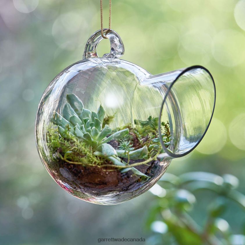 Garrett Wade Small Hanging Glass Terrarium 8628N2172 Garden