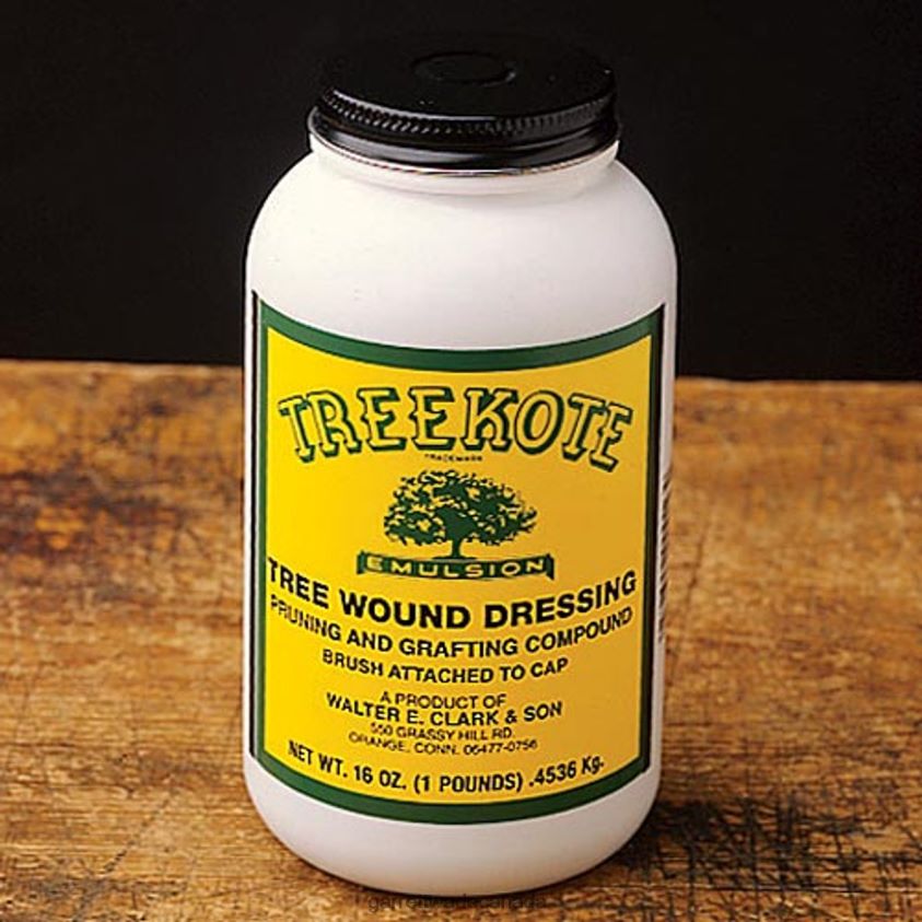 Garrett Wade Treekote Wound Dressing 8628N2171 Garden