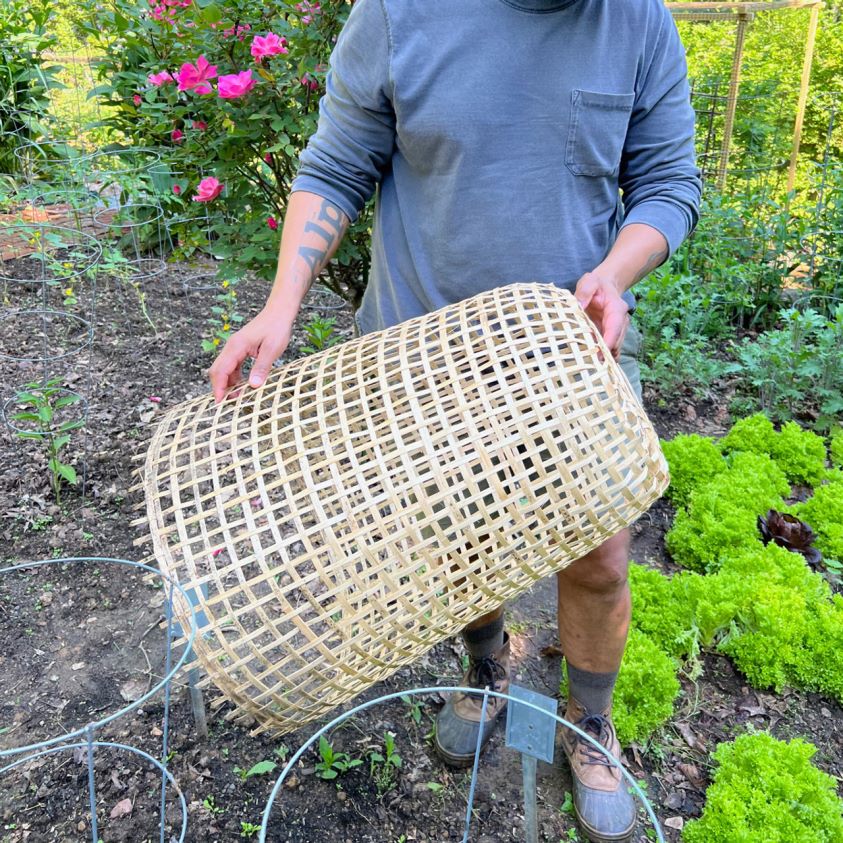 Garrett Wade Woven Bamboo Garden Cloche 8628N2152 Garden