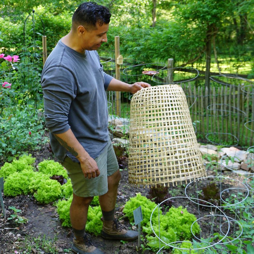 Garrett Wade Woven Bamboo Garden Cloche 8628N2152 Garden