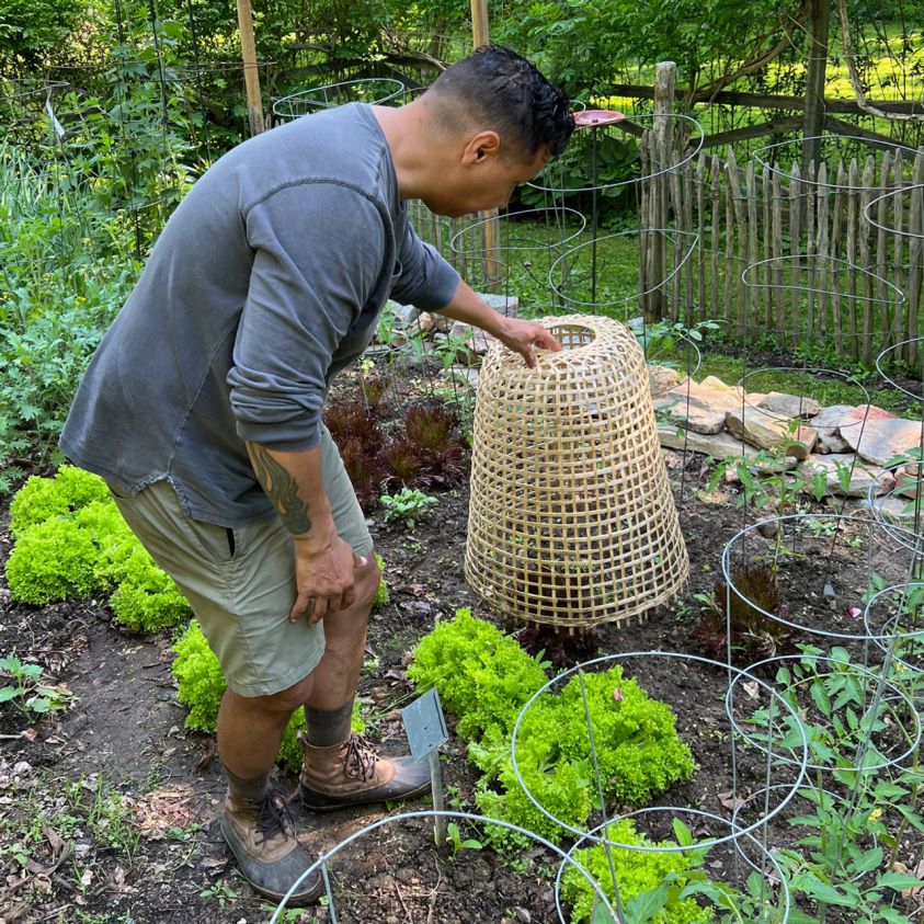 Garrett Wade Woven Bamboo Garden Cloche 8628N2152 Garden