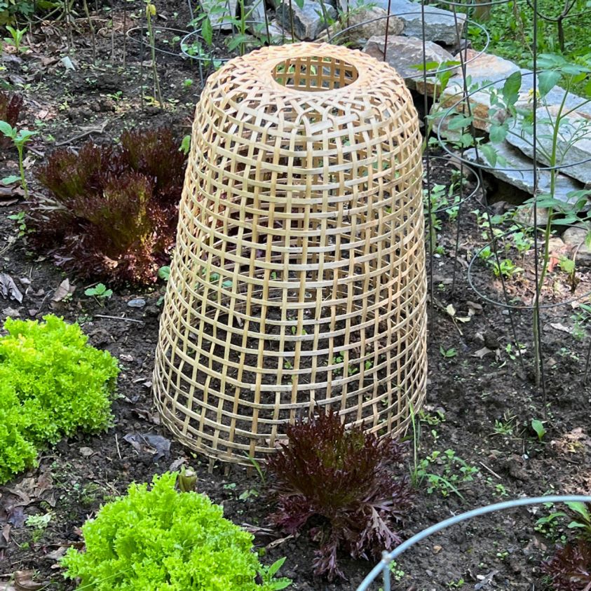 Garrett Wade Woven Bamboo Garden Cloche 8628N2152 Garden