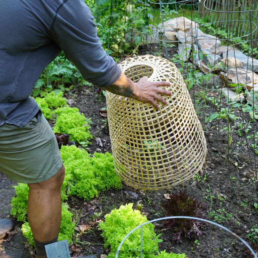 Garrett Wade Woven Bamboo Garden Cloche 8628N2152 Garden