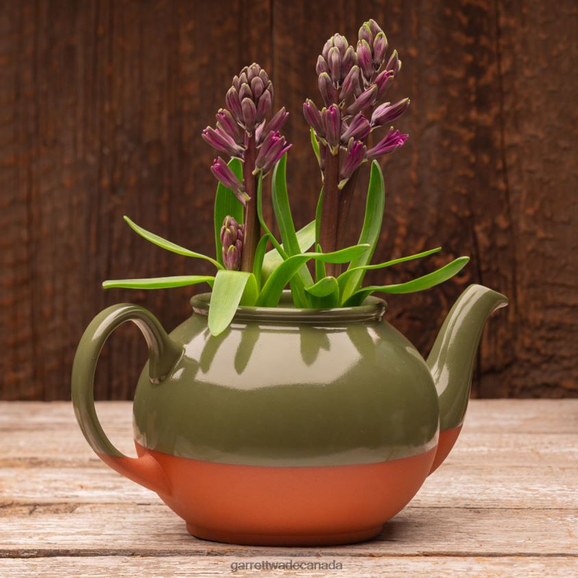 Garrett Wade Teapot Shaped Planter Made in the UK 8628N2263 Garden