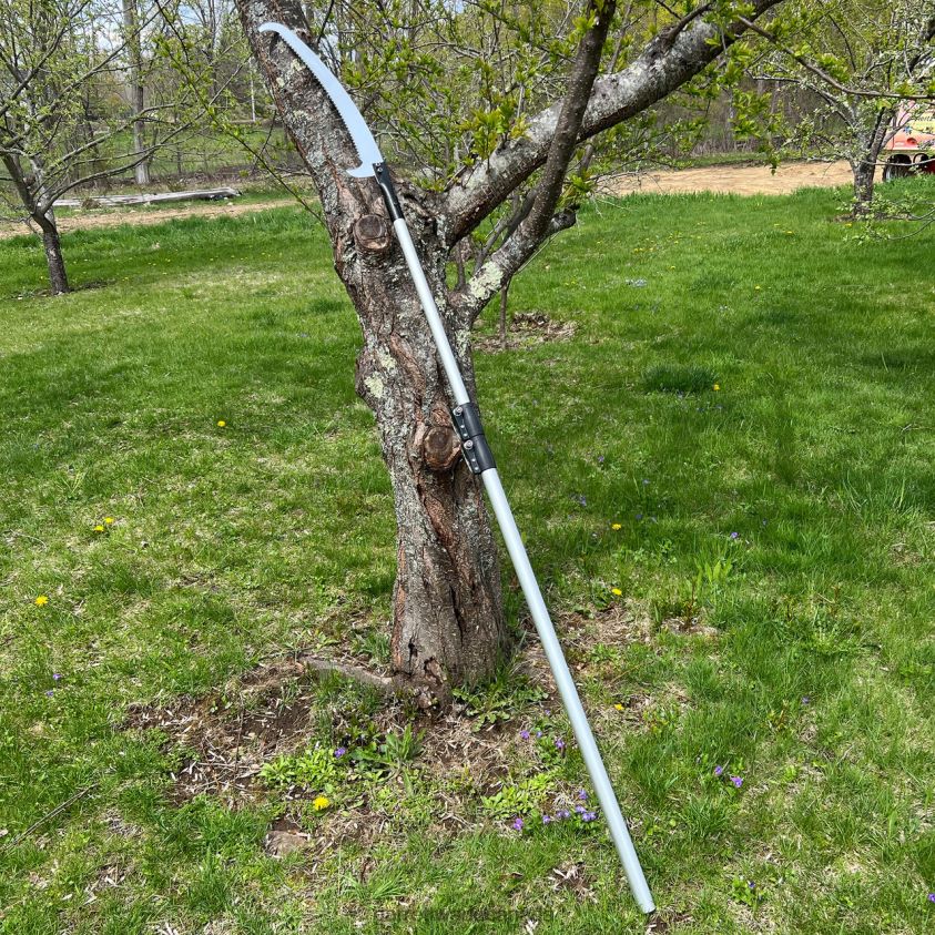 Garrett Wade 10' Extendable Pole Saw 8628N226 Garden