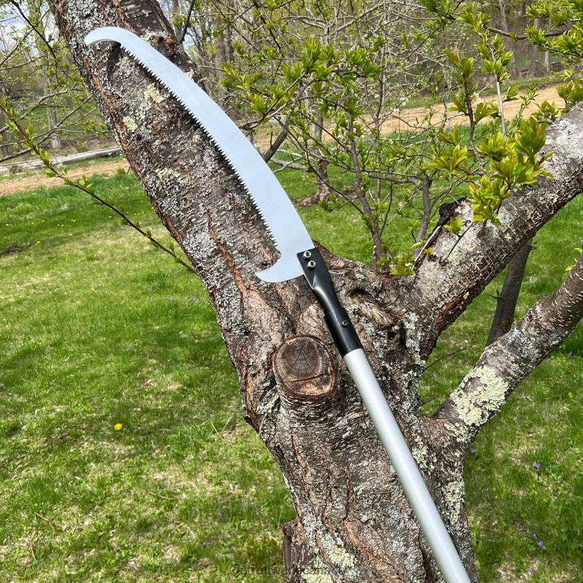Garrett Wade 10' Extendable Pole Saw 8628N226 Garden