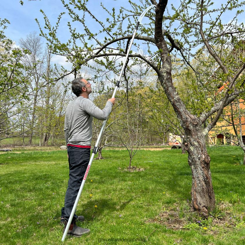 Garrett Wade 10' Extendable Pole Saw 8628N226 Garden