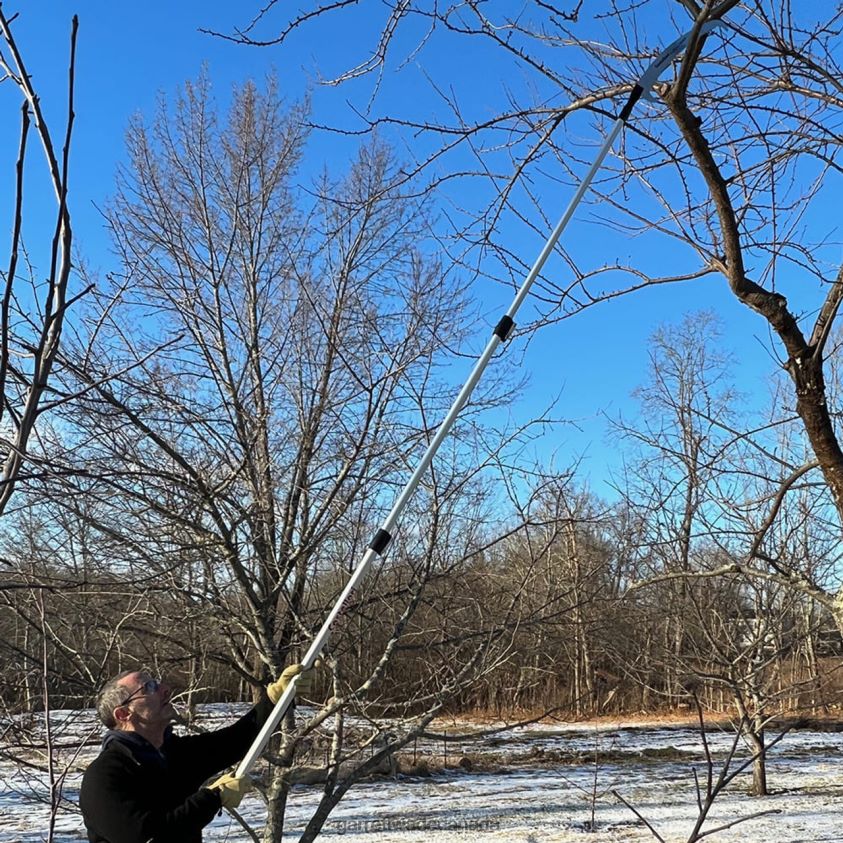 Garrett Wade 10' Extendable Pole Saw 8628N226 Garden