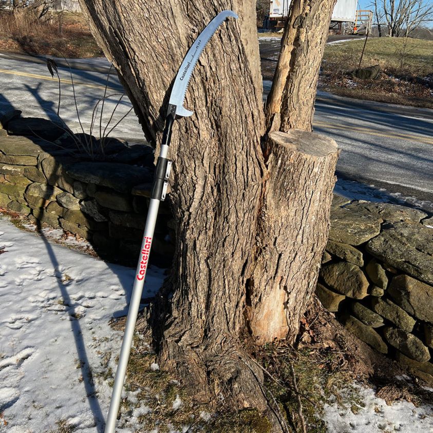 Garrett Wade 10' Extendable Pole Saw 8628N226 Garden