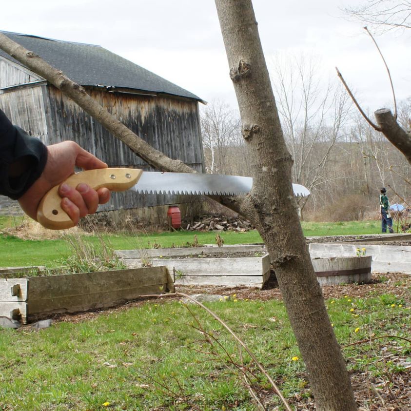 Garrett Wade 12'' Fast-Cut Pruning Saw & Holster 8628N234 Garden