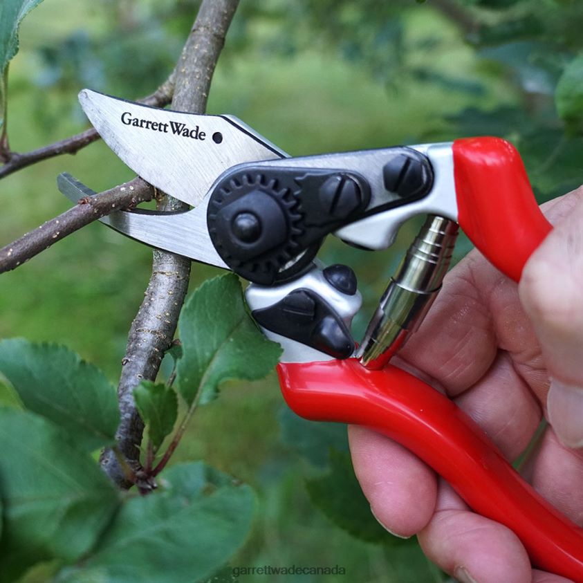 Garrett Wade Everyday Go-To Pruners 8628N239 Garden