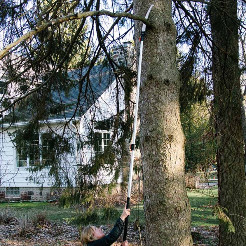 Garrett Wade Extendable Jumbo Pole Saw & Pruner 8628N24 Garden