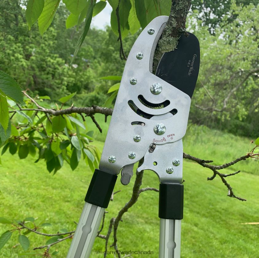 Garrett Wade Heavy Duty Anvil Lopper 8628N216 Garden