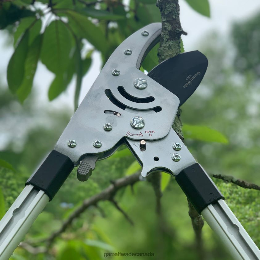 Garrett Wade Heavy Duty Anvil Lopper 8628N216 Garden