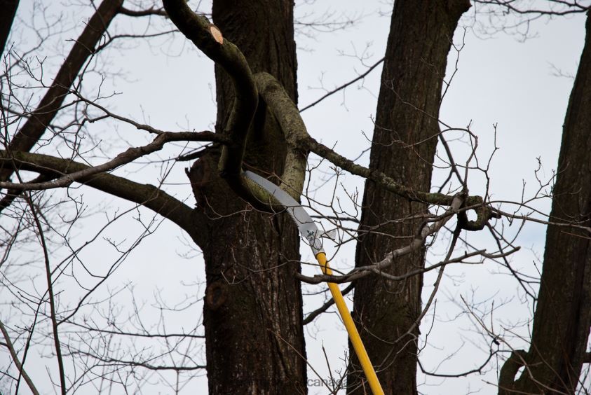 Garrett Wade Hi-Reach 19 ft Pole Saws 8628N21 Garden