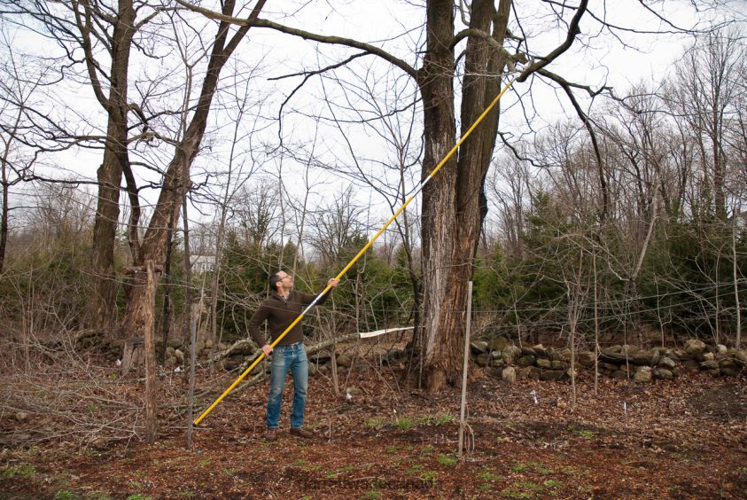 Garrett Wade Hi-Reach 19 ft Pole Saws 8628N21 Garden