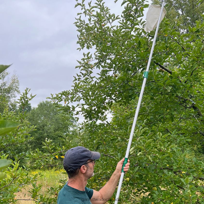 Garrett Wade High-Reach Fruit Picking Basket 8628N25 Garden