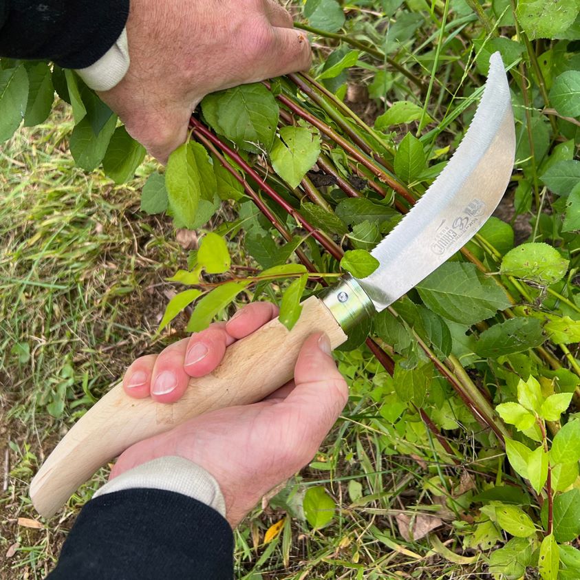 Garrett Wade Long Bladed Folding Harvest Knife 8628N250 Garden