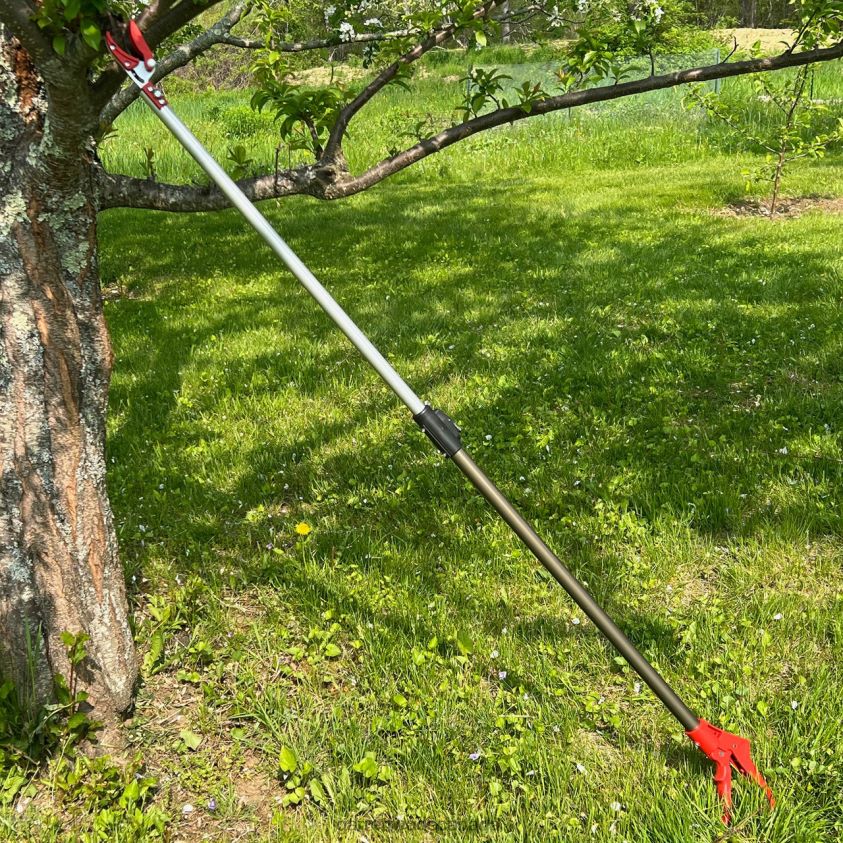 Garrett Wade Long Reach Pruner (Extends to 5 Feet) 8628N233 Garden