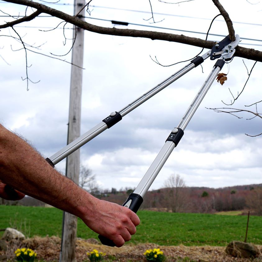 Garrett Wade Premium Ratcheting Pruning Loppers 8628N22 Garden