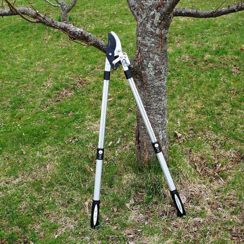 Garrett Wade Premium Ratcheting Pruning Loppers 8628N22 Garden