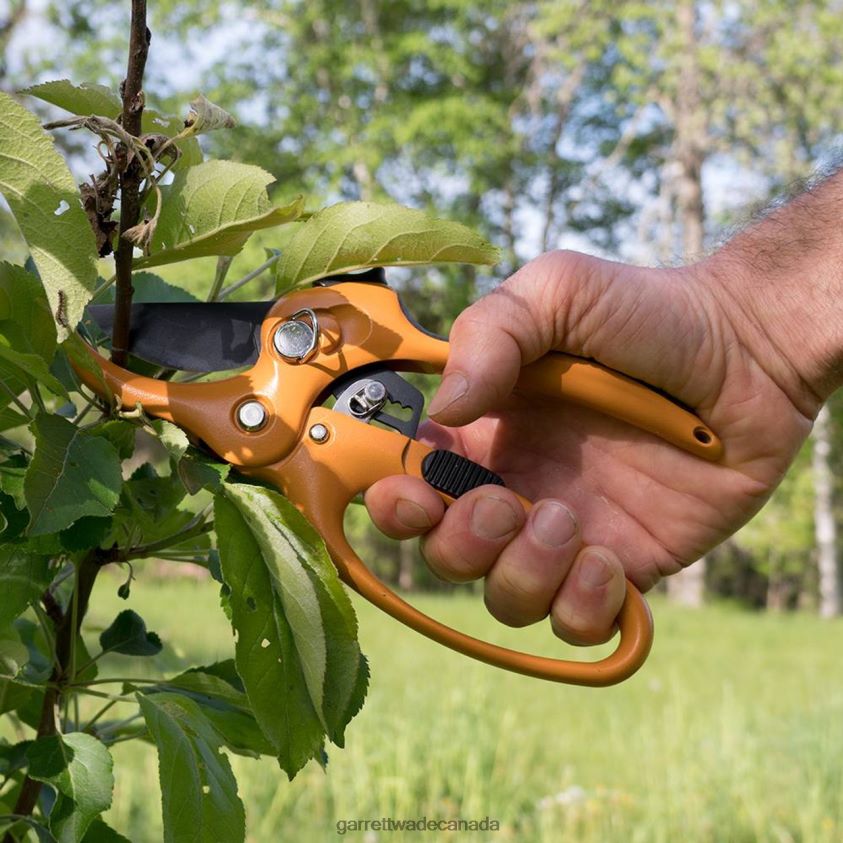 Garrett Wade Ratcheting Hand Pruner 8628N211 Garden