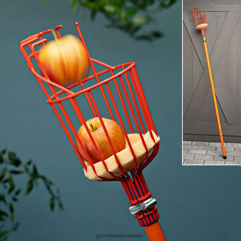 Garrett Wade Tasty Reach'' Telescoping Fruit Picker 8628N210 Garden