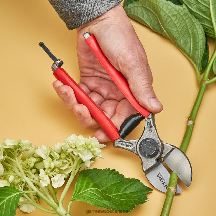 Garrett Wade Ultimate Double-Bladed Precision Pruner 8628N251 Garden