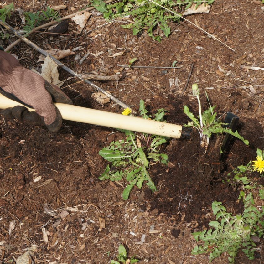 Garrett Wade Japanese Made Triangular Hoe 8628N2107 Garden