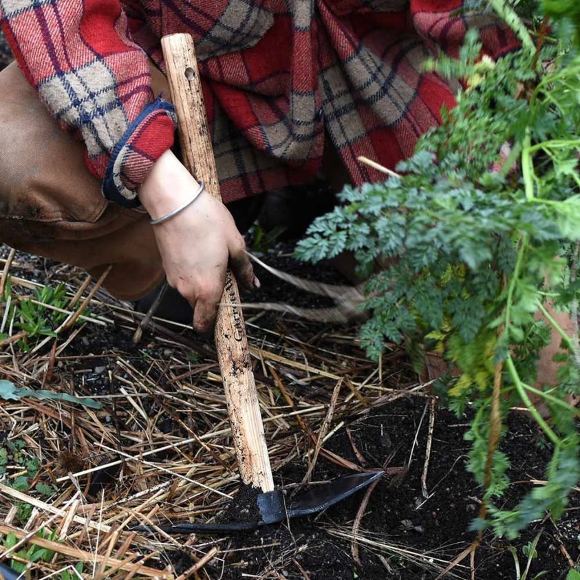 Garrett Wade Mini Hoe with 2-Prong Grubber 8628N2101 Garden