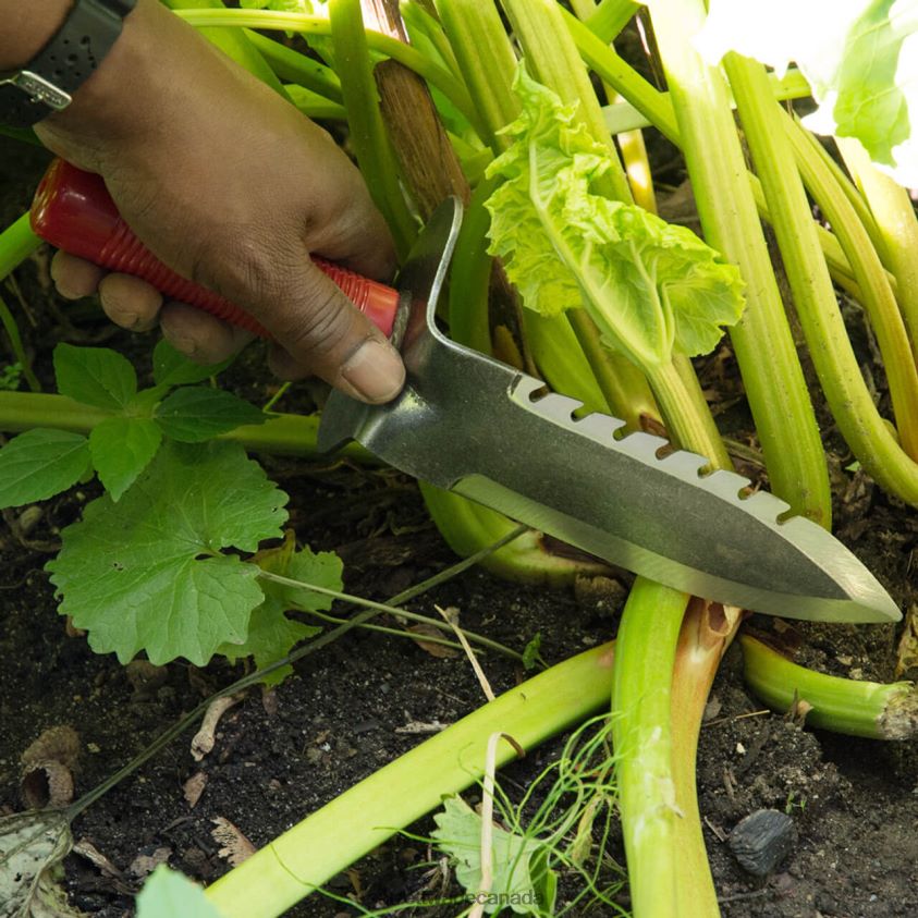 Garrett Wade Professional Gardener's Digging Tool 8628N281 Garden