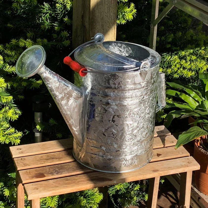 Garrett Wade 2 Gallon Watering Can 8628N2226 Garden