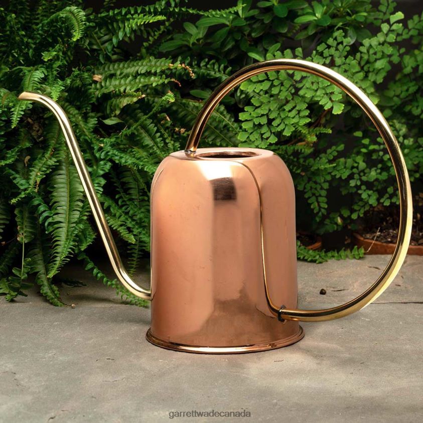 Garrett Wade Copper & Brass Indoor Watering Can 8628N2217 Garden