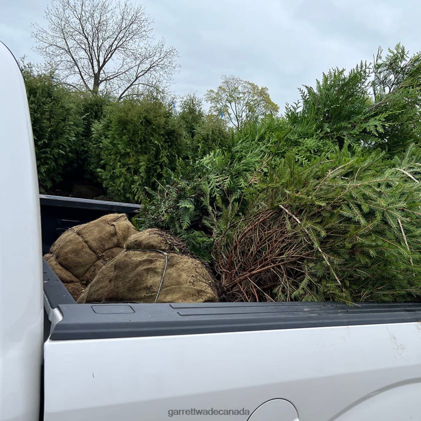 Garrett Wade Powerful Jet Water Nozzle 8628N2237 Garden