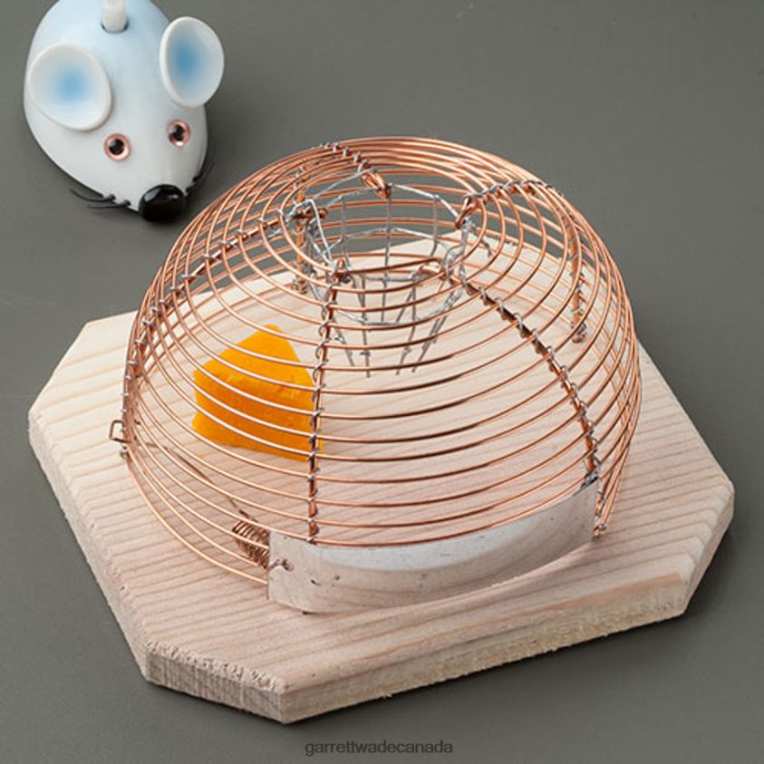 Garrett Wade Humane House Mouse Catcher 8628N2989 Home & Kitchen