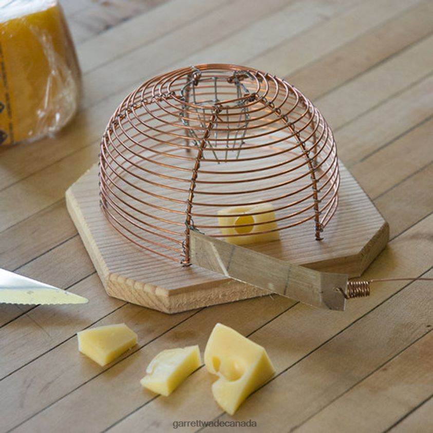 Garrett Wade Humane House Mouse Catcher 8628N2989 Home & Kitchen