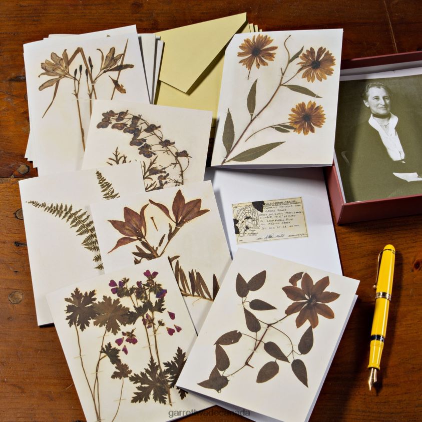 Garrett Wade Botanical Inspired Notecard Set 8628N21019 Home & Kitchen