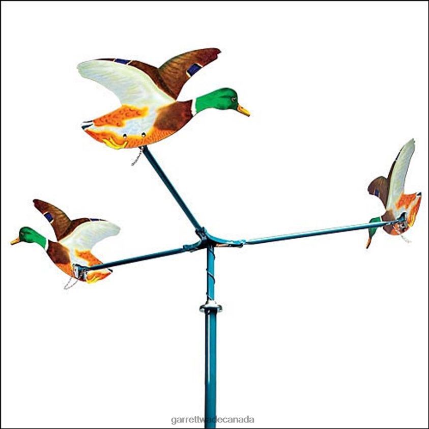 Garrett Wade 3 Duck Target (with dart gun) 8628N2937 Home & Kitchen