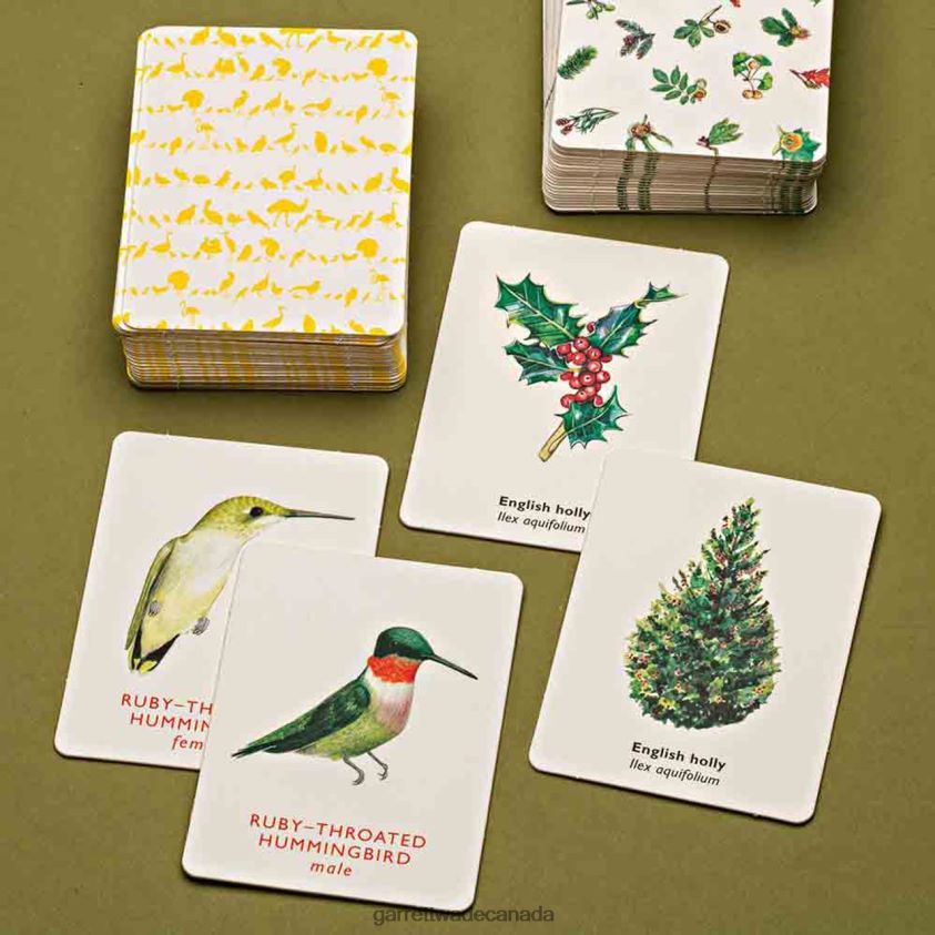 Garrett Wade Match a Bird Card Game 8628N2945 Home & Kitchen