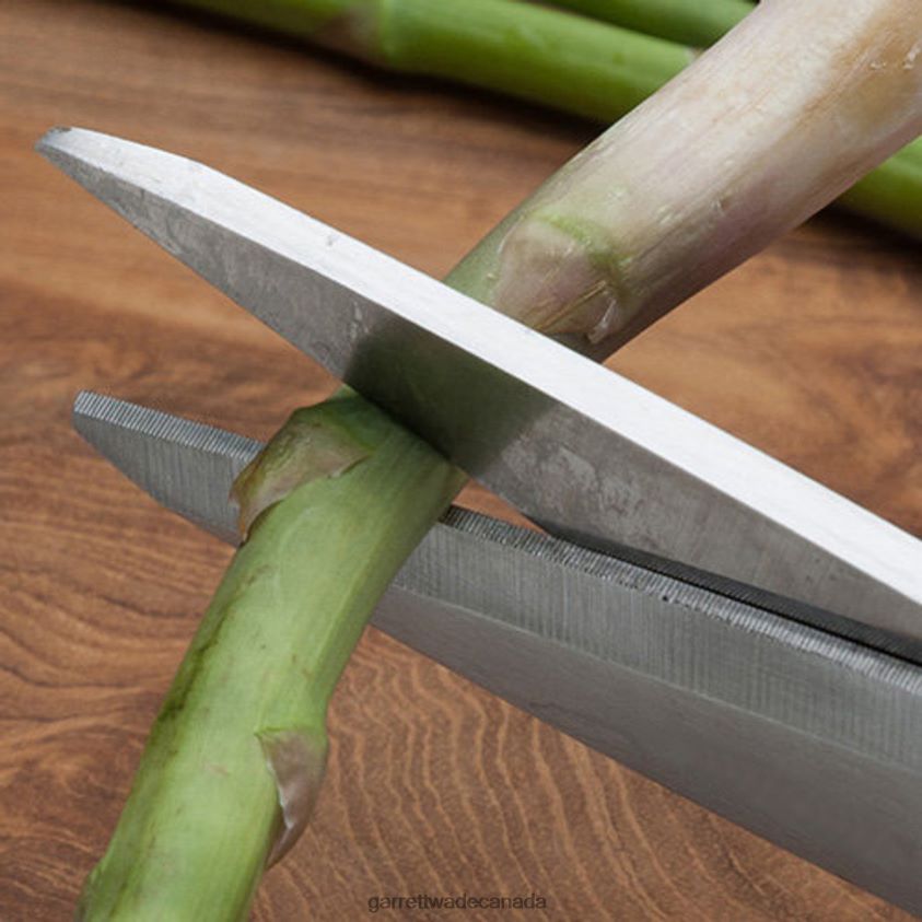 Garrett Wade Stainless Kitchen / Household Shears 8628N2781 Home & Kitchen