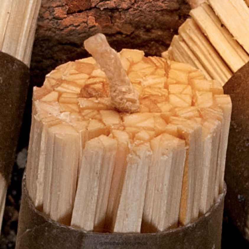 Garrett Wade Fire Starter Kits Bundle of 20 8628N2345 Outdoor