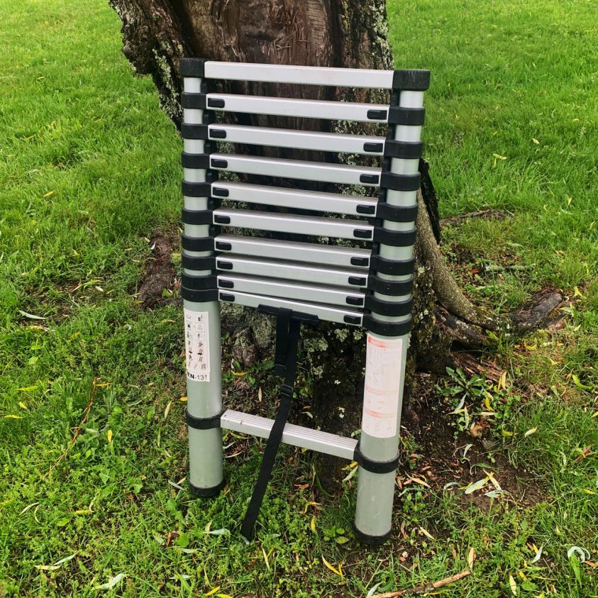 Garrett Wade Telescoping Extension Ladders 8628N2488 Workshop